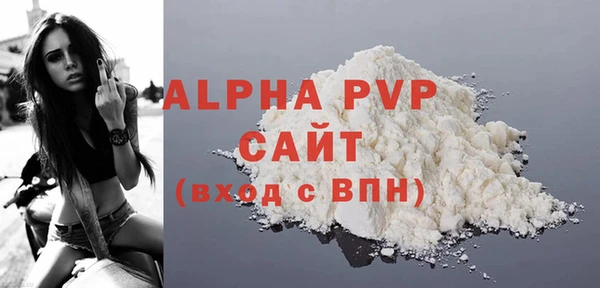 СК Каменногорск