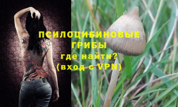 мяу мяу мука Каменка