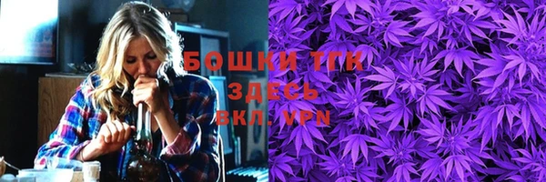 СК Каменногорск