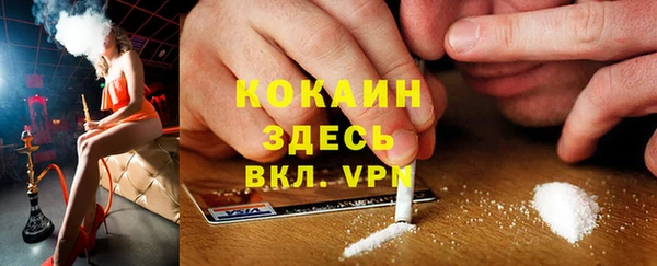 СК Каменногорск