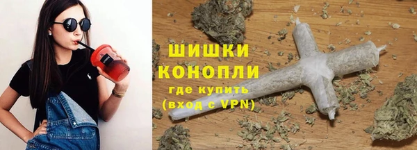 СК Каменногорск
