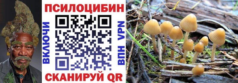 Купить закладки  Верхний Уфалей  Псилоцибиновые грибы прущие грибы 