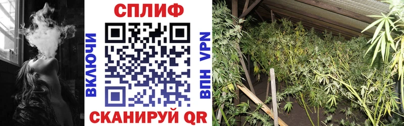 Шишки марихуана индика  Купить закладки  Верхний Уфалей 